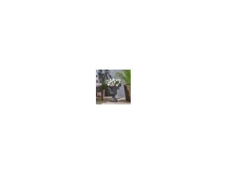 Item Description: Pick your plants up off the ground; this garden urn planter allows for variation in height in your garden area, re-invigorating your yard and giving it a sense of new interest and excitement. A drainage hole and stopper helps keep everyt
