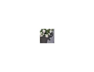 Item Description: Pick your plants up off the ground; this garden urn planter allows for variation in height in your garden area, re-invigorating your yard and giving it a sense of new interest and excitement. A drainage hole and stopper helps keep everyt