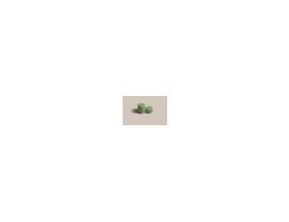 This set features one Medium Capsule (1.32 fl oz) with a blank label and one Small Capsule (0.56 fl oz) with a pill icon. Color: Eucalyptus. TSA-approved.