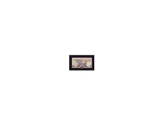 Celebrate America's 250th Semi quincentennial Anniversary with this stunning commemorative frame that features a custom designed print and a minted coin. Featured in a 12" x 20" wood frame with red, white and blue matting and protective acrylic glass is a