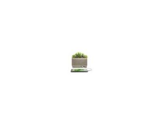 USB charging station for iPhone Android and Samsung. 30W Charging capacity - 20W USB-C port and shared 10W USB-C and USB-A ports. Wirelessly stream audio via Bluetooth. Portable design is lightweight and can be placed anywhere. Realistic potted plant desi