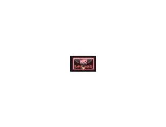 Honor a century of Detroit Red Wings hockey with this officially licensed 12" x 20" Timeline Photo Mint. Presented in a black wood frame with double matting, the centerpiece features Red Wing Legends in a 15" x 7" custom timeline print that showcases the 