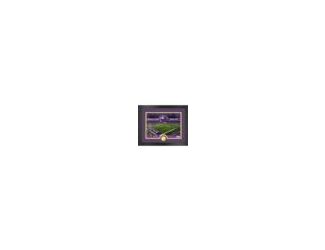 This limited edition 13" x 16" frame features double matting and a hand numbered 8"x10" custom print commemorating your NFL's favorite team home stadium. Below the pictures is a 39mm minted coin of your favorite team. As a limited edition of only 5000 and