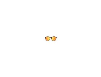 Our Penn sunglass frame is a pure and sweet round eye style. Inspired by the arches of Penn Station, the classic curves can help you get wherever you're going, in style. Just don't be late because the train is leaving the station!