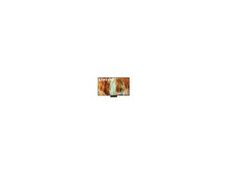 55" QN70F Series 4K Neo QLED Smart TV (2025)