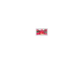 65" Frame Pro Series 4K QLED Smart TV (2025)