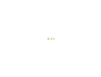 Lock in your style with these charming Padlock Design Baby Stud Earrings!  14kt Yellow Gold Diamond Baby Padlock Stud Earrings is perfect for everyday.