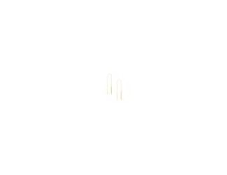 Slide these fluid threaders through your ear piercings for comfortable all-day wear. Crafted in 14K yellow gold, these wire threaders will become your favorites! 14kt Yellow Gold Wide Bar Threader Earrings is perfect for everyday.