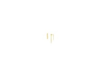 Statement linked earrings - there's endless style possibilities. These  14kt Yellow Gold Front and Back Mini Disc Dangle Earrings is perfect for everyday.