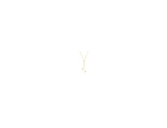 Feel your best in this lovely polished circles lariat necklace. Crafted for you in 14K Gold, this necklace is adjustable from 16-18 inches.  14kt Yellow Gold High Polished Circles Adjustable Lariat Necklace is perfect for everyday.