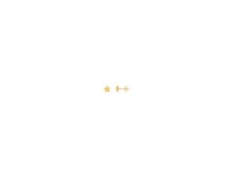 A bright star brings celestial shine to a puffy star earrings crafted from warm 14-karat yellow gold. 14kt Yellow Gold Puffy Star Stud Earrings is perfect for everyday.