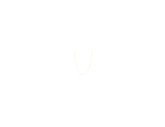 Crafted from polished 14-karat gold, this chain necklace can be worn as a singular or layered piece. 14kt Yellow Gold Triple Bead Saturn Chain with Lobster Lock is perfect for everyday.