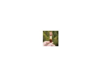 Sandalwood Wooden Bracelet Wooden Bracelets, Red Sandlewood/Gold