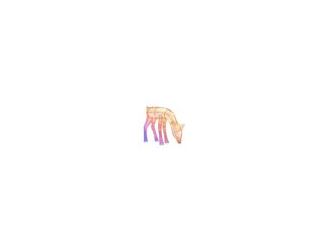 Bring your holiday display to life with Twinkly Reindeers, elegant 3D LED figures that combine festive charm with cutting-edge technology. App-controlled and fully customizable, these reindeers shine in over 16 million colors and can be synchronized with 