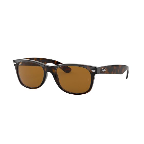 New Wayfarer Classic Sunglasses