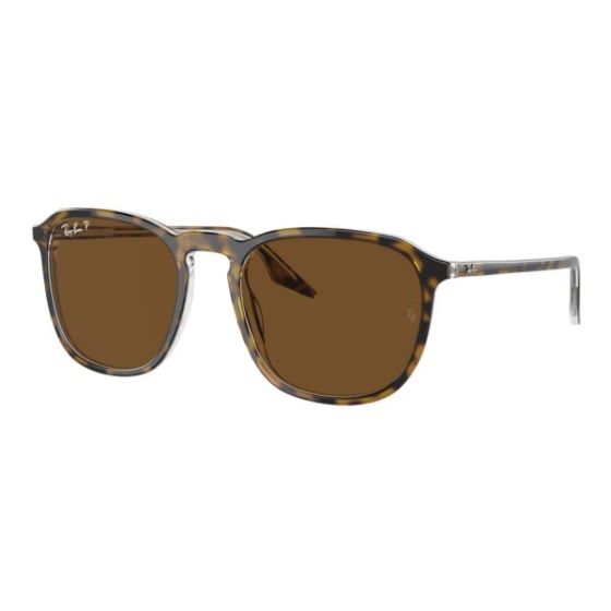 Polarized RB2203 Sunglasses