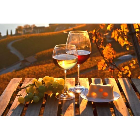 Wine Galaxy's Full-Bodied FAll Favorites - 4 bottles, 2 Red & 2 White