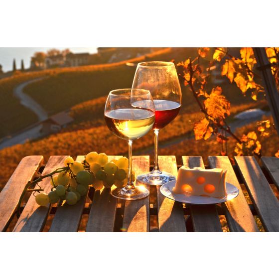 Wine Galaxy's Full-Bodied FAll Favorites - 4 bottles, All White