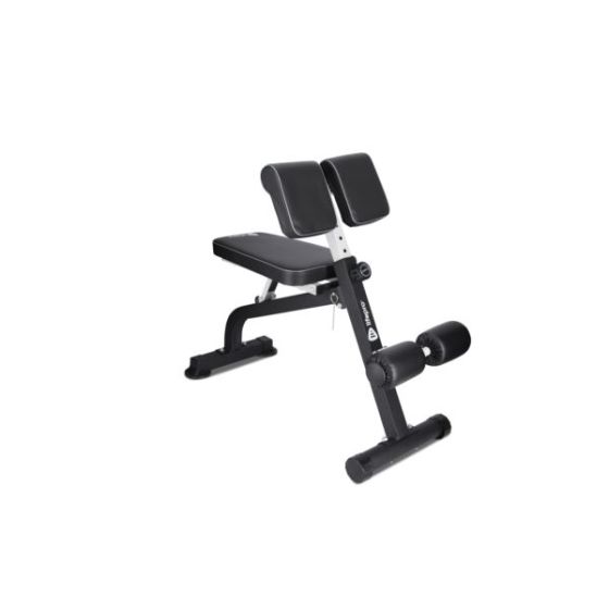 SculptTrainer Multipurpose Roman Chair Gray