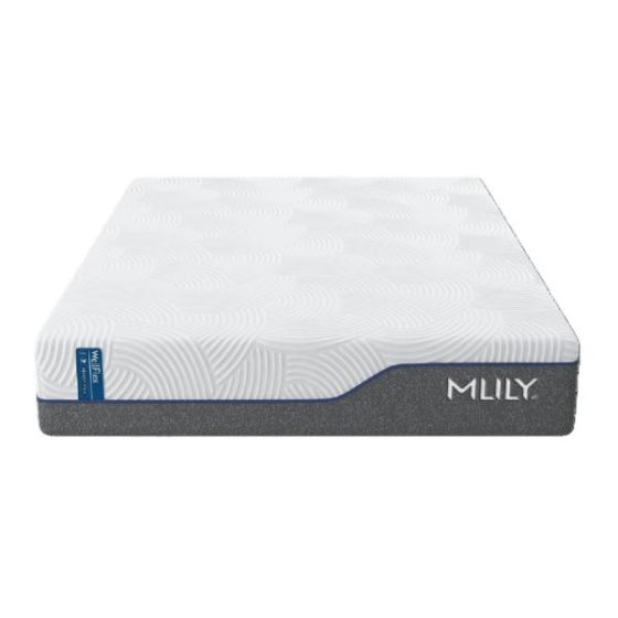 WellFlex 1.0 12-Inch Firm Mattress - Full