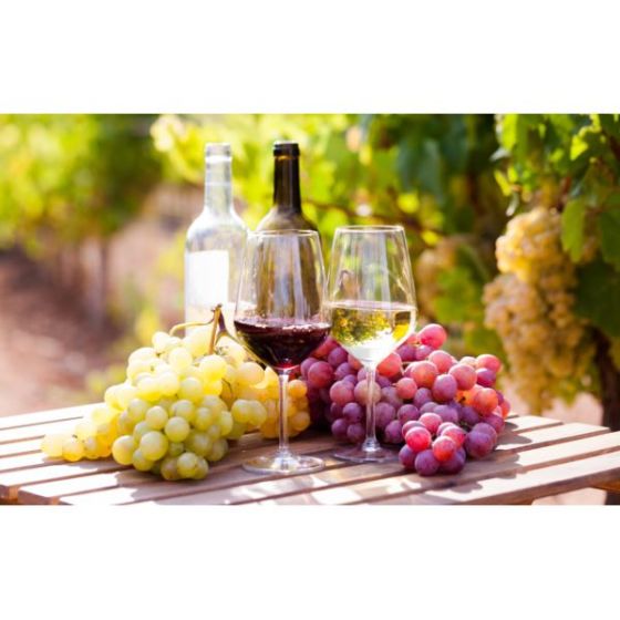 Wine Galaxy's The Taste of Spain - 2 bottles, All Red