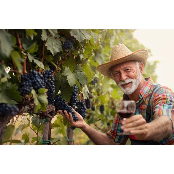 Wine Galaxy's The South America Showcase - 2 bottles, 1 Red & 1 White