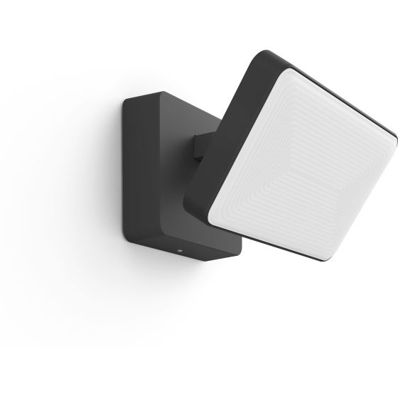 Philips Hue White & Color Ambiance Discover Outdoor Floodlight