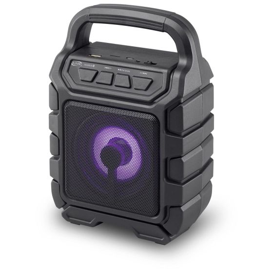 Wireless Tailgate Party Speaker w/ FM Radio