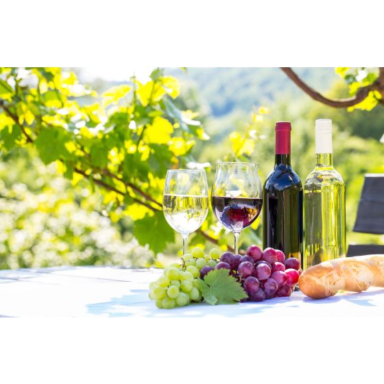 Wine Galaxy's Sensual Spring Showcase - 4 bottles, All Red