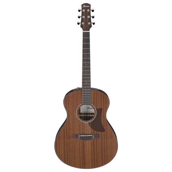 Advanced Acoustic Auditorium Pure Acoustic Guitar