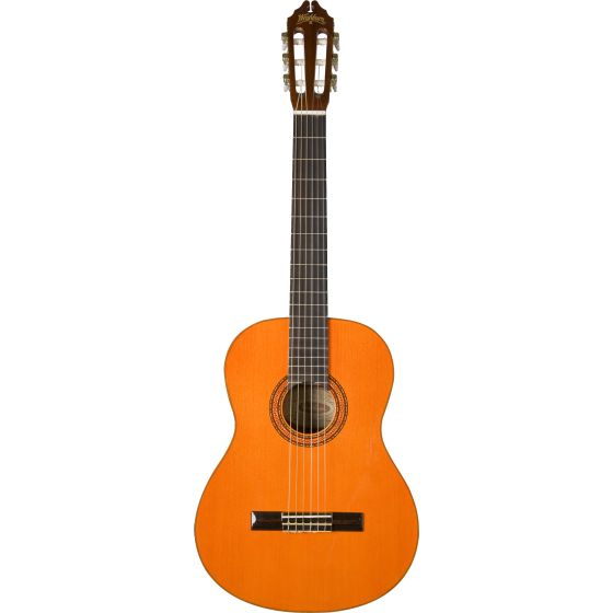 Classical 6-String Acoustic Guitar