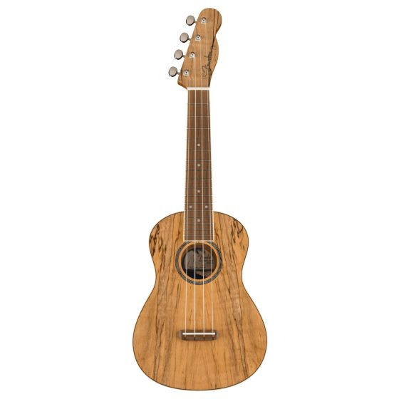 Zuma Exotic Concert Ukulele with Walnut Fingerboard