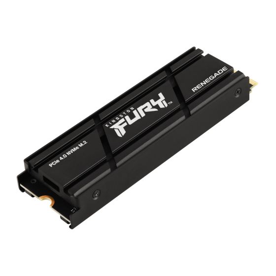 Fury Renegade 500GB PCIe Gen 4.0 NVMe M.2 Internal Gaming SSD with Heat Sink - PS5 Ready
