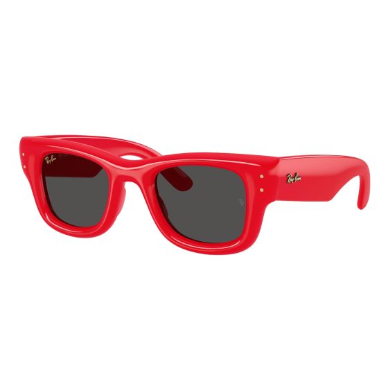 Wayfarer Puffer Sunglasses