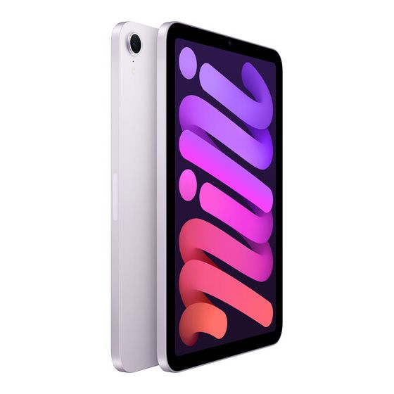 iPad mini Wi-Fi 512GB - Purple
