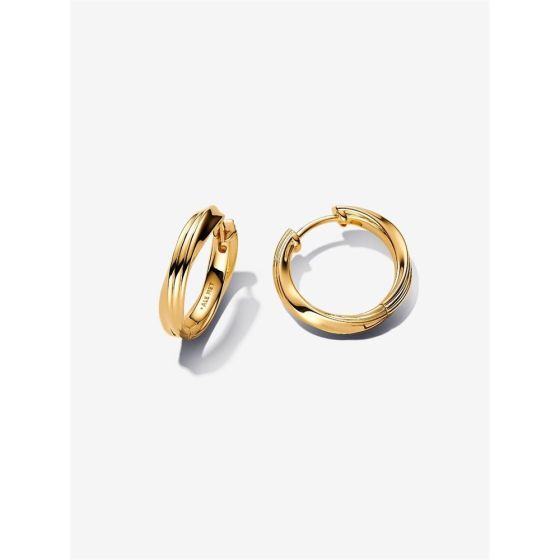 Twisted Hoop Earrings