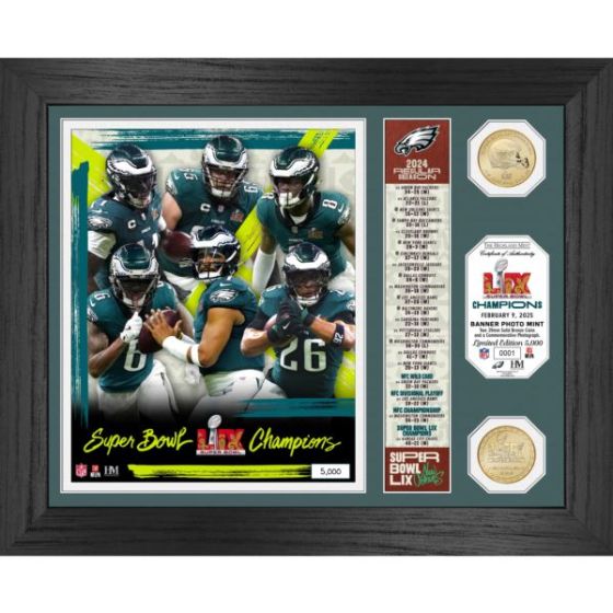 Philadelphia Eagles Super Bowl LIX Champions Banner Photo Mint