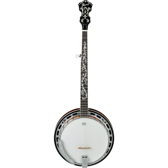 B200 - 6 string Banjo