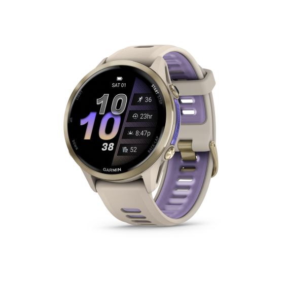 Forerunner 970 Advanced GPS Running Smartwatch French Gray/Indigo