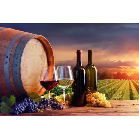 Wine Galaxy's Savor of Spain & Italy - 2 bottles, All Red