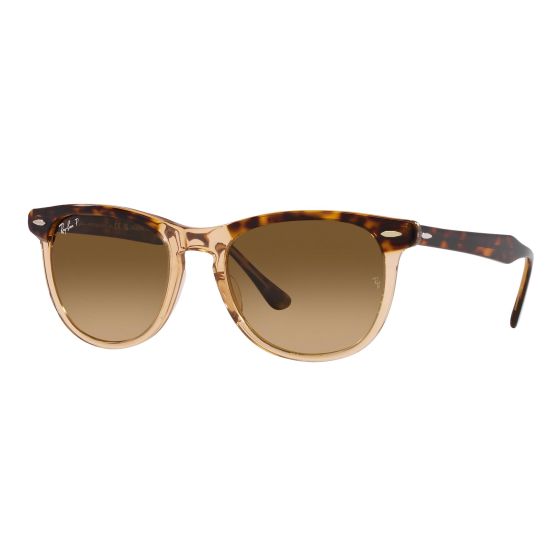 Polarized Eagle Eye Sunglasses