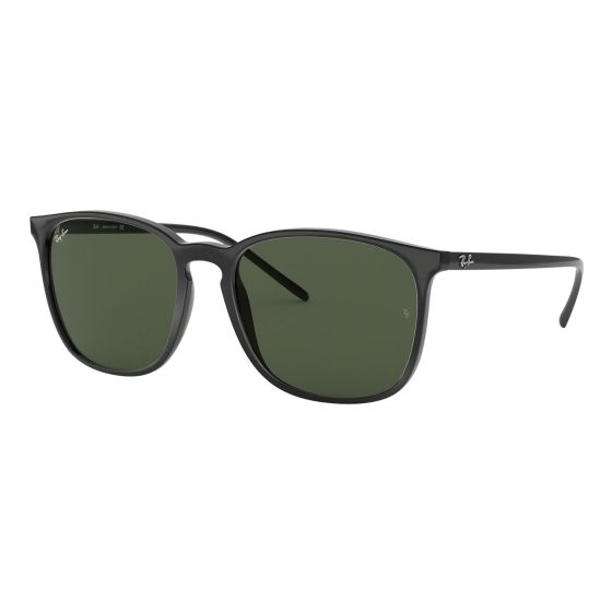 RB4387 Sunglasses