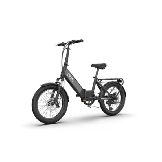 FlexMov EBF10 Folding E-Bike Black