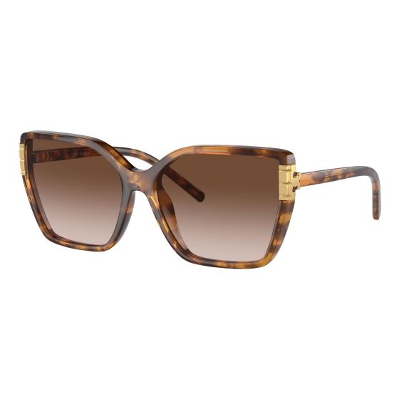 Women's Eleanor Oversized Cat-Eye Sunglasses