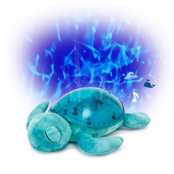 Tranquil Turtle - Ocean