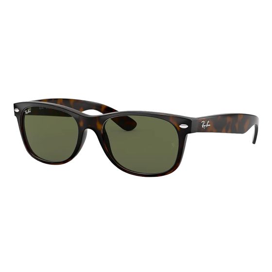 New Wayfarer Sunglasses