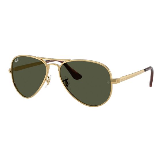 Aviator Max Sunglasses