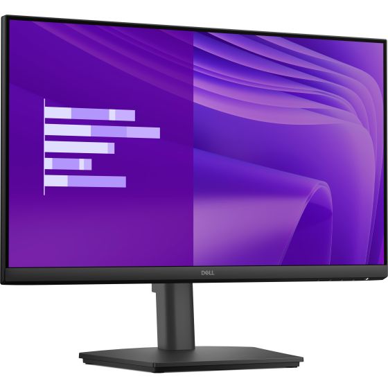 Pro 24 Adjustable Stand Monitor