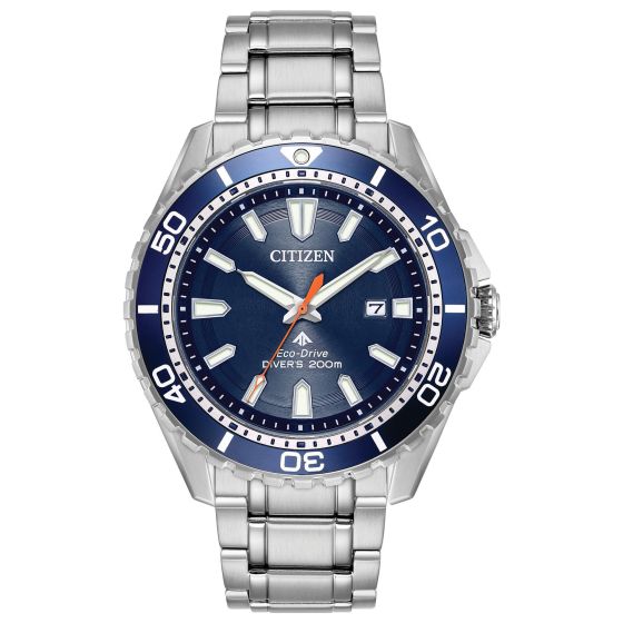 Men's Promaster Professional Diver Watch