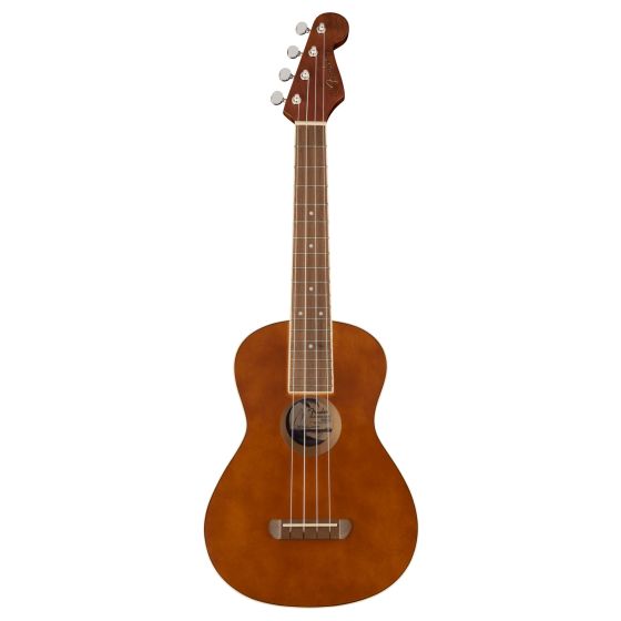 Avalon Tenor Ukulele with Walnut Fingerboard